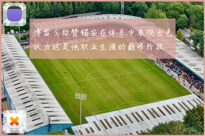 博雷戈称赞锡安在体系中表现出色认为这是他职业生涯的巅峰阶段