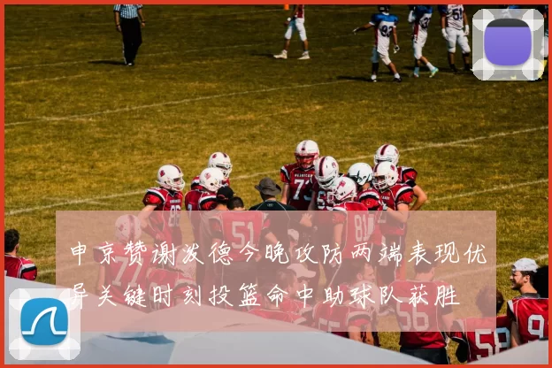 申京赞谢泼德今晚攻防两端表现优异关键时刻投篮命中助球队获胜